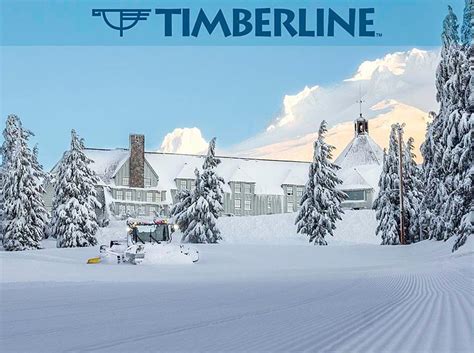 timberline lodge website